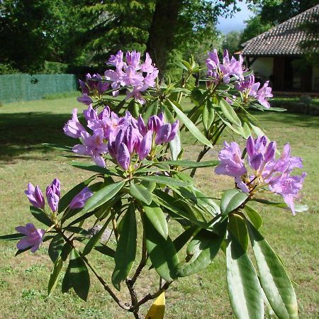 B&B Le Magnolia Saucats Luaran gambar