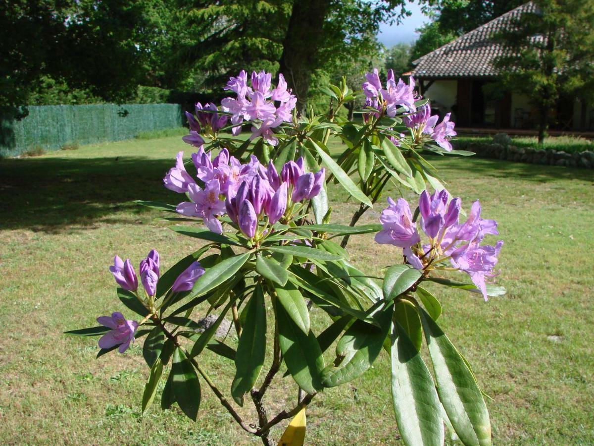 B&B Le Magnolia Saucats Luaran gambar