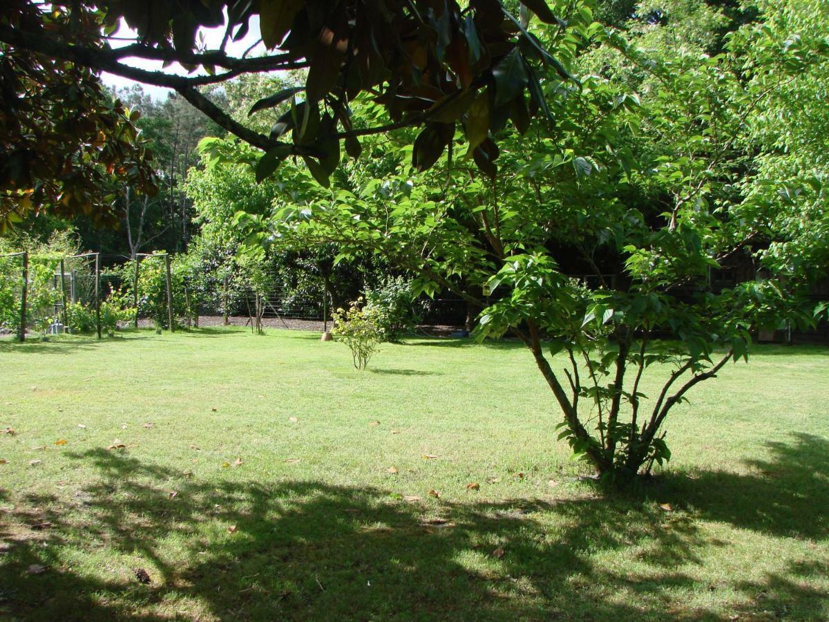 B&B Le Magnolia Saucats Luaran gambar